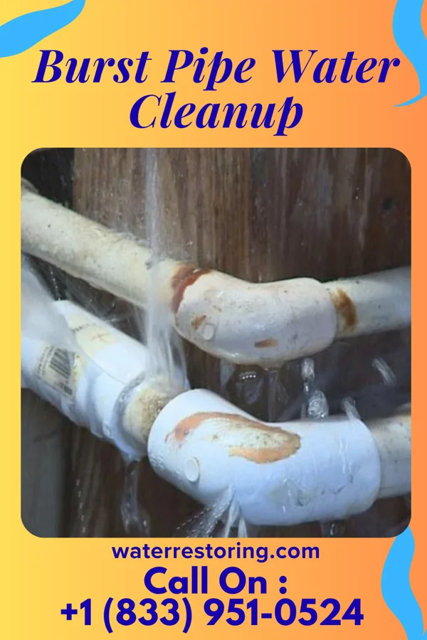 Burst Pipe Water Cleanup in Franklin Center, NJ