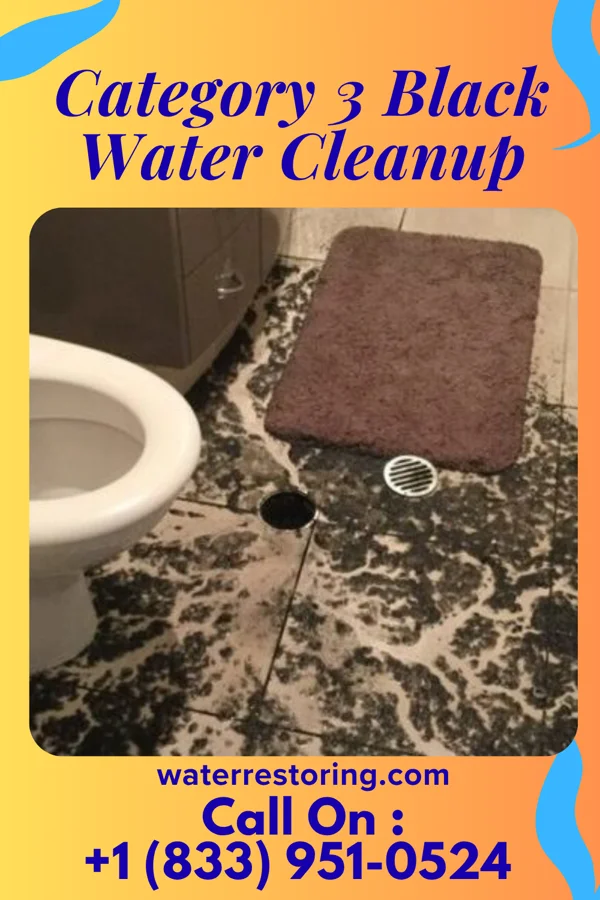 Category 3 Black Water Cleanup in Franklin Center, NJ