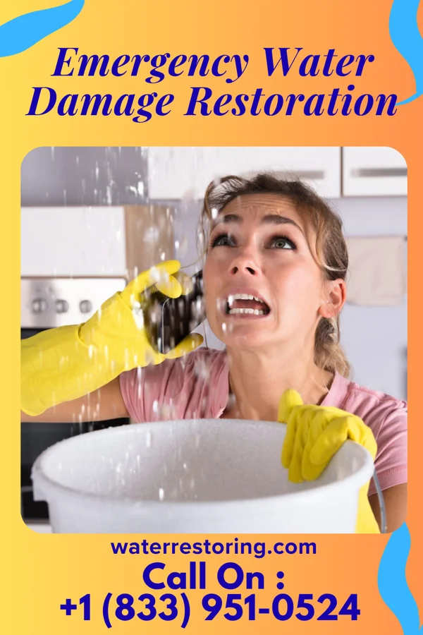 Emergency Water Damage Restoration in Franklin Center, NJ
