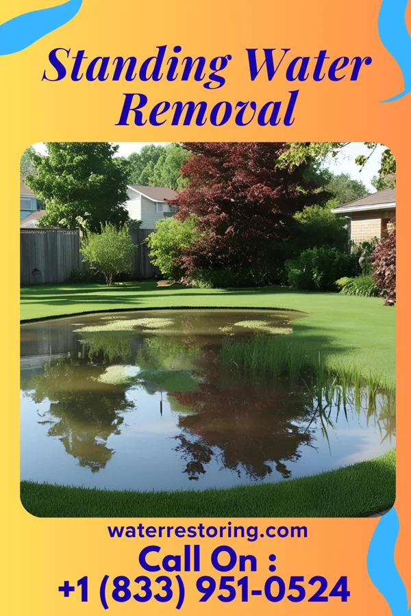 Standing Water Removal in Franklin Center, NJ